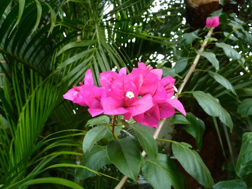 Casa de hóspedes El Refugio Foz do Iguaçu